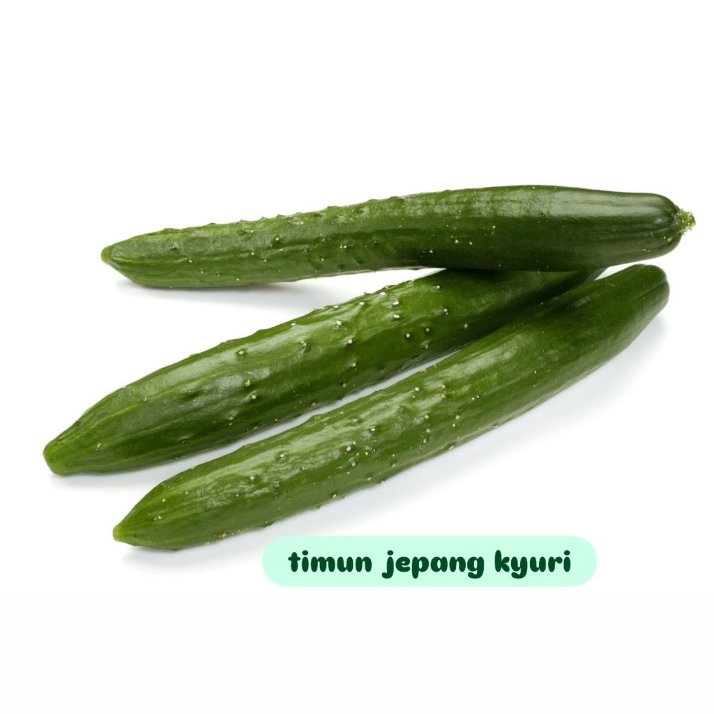 

Timun jepang kyuri fresh 500gr-1kg