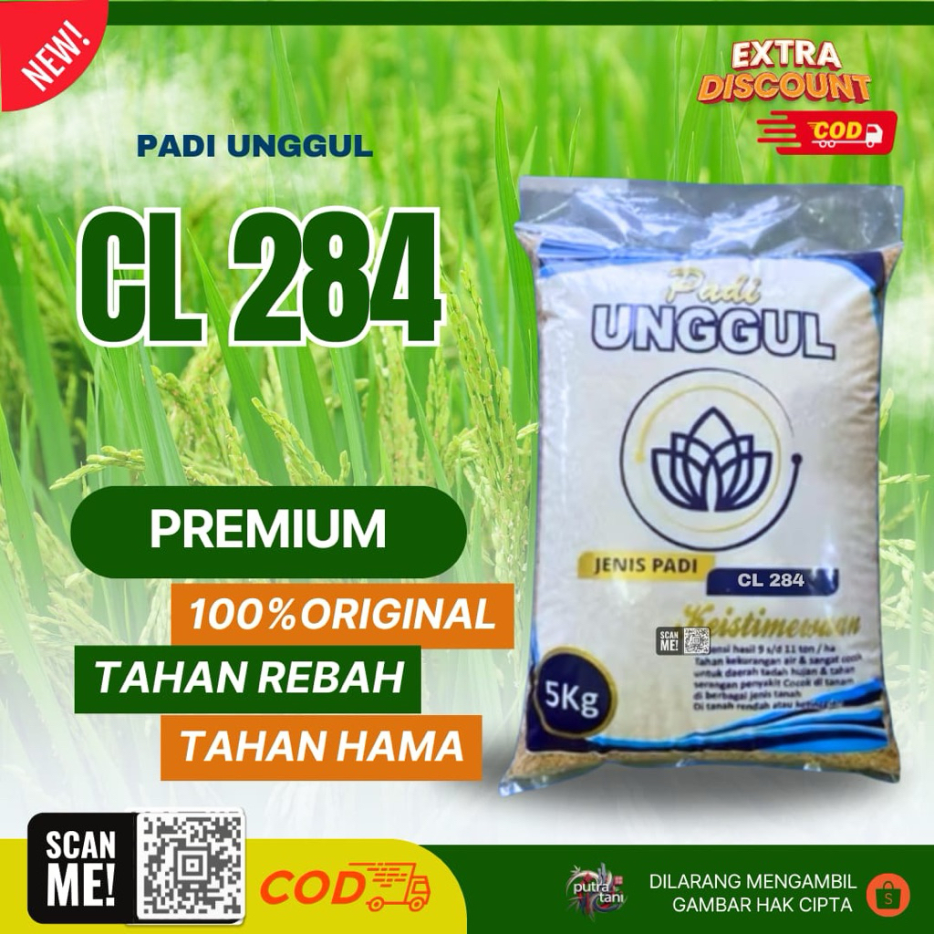 PADI UNGGUL CL284 5KG