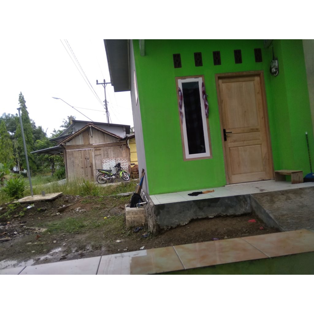 

jual ikan lele konsumsi