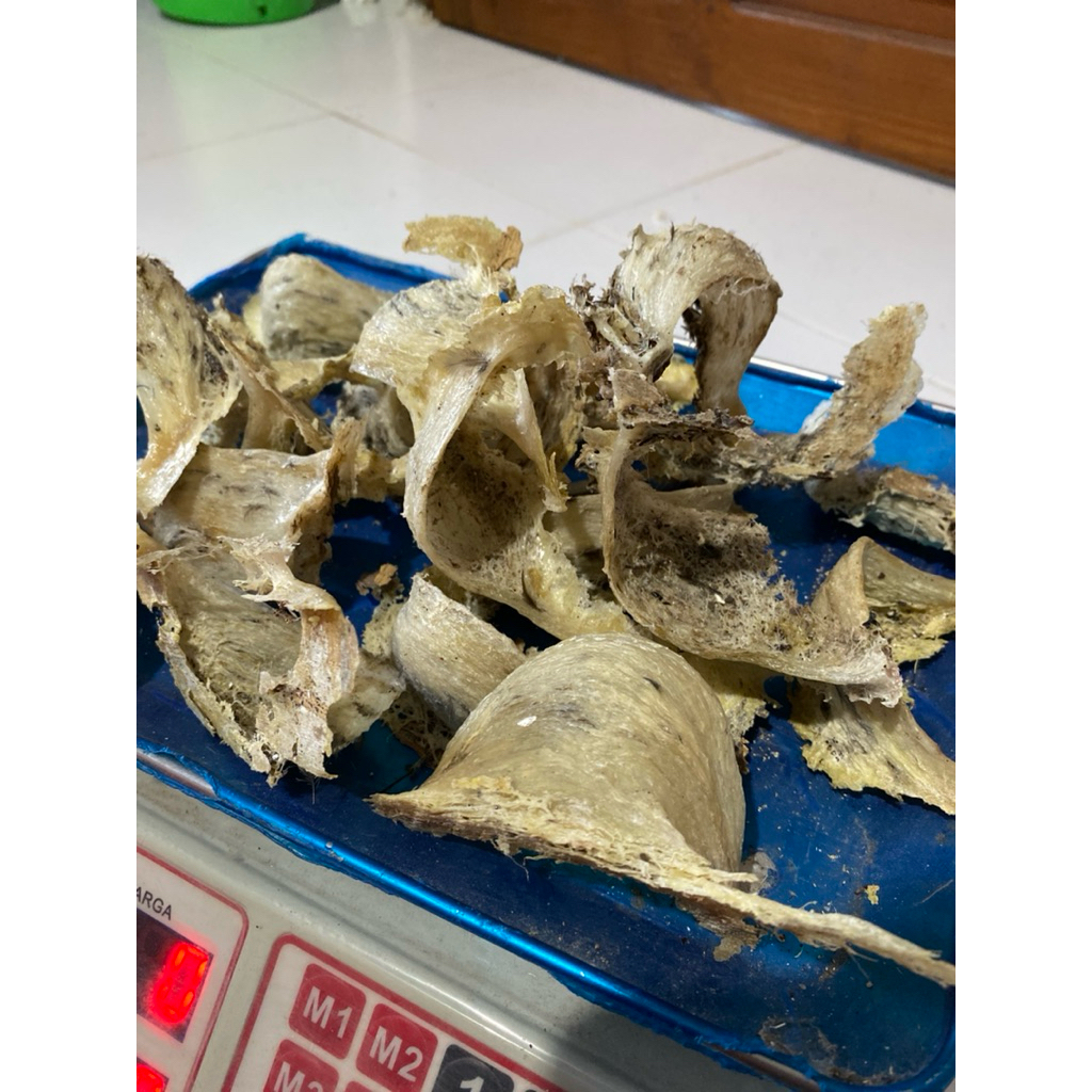 

sarang burung walet original berat kurleb 10gram