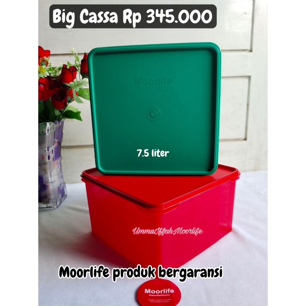 Moorlife big Cassa//Massimo cassa kotak besar