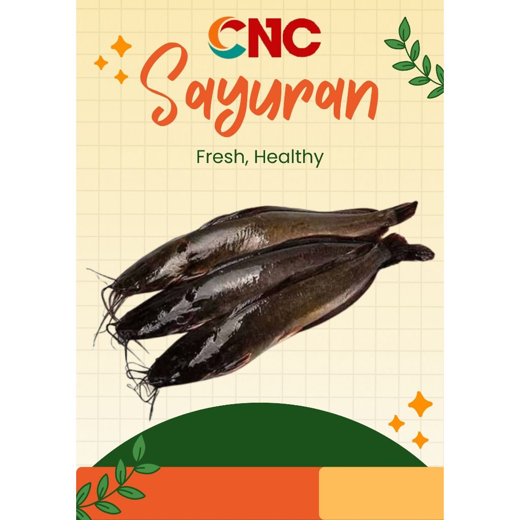 

KHUSUS INSTANT IKAN LELE FRESH 500 GR - 1KG SURABAYA