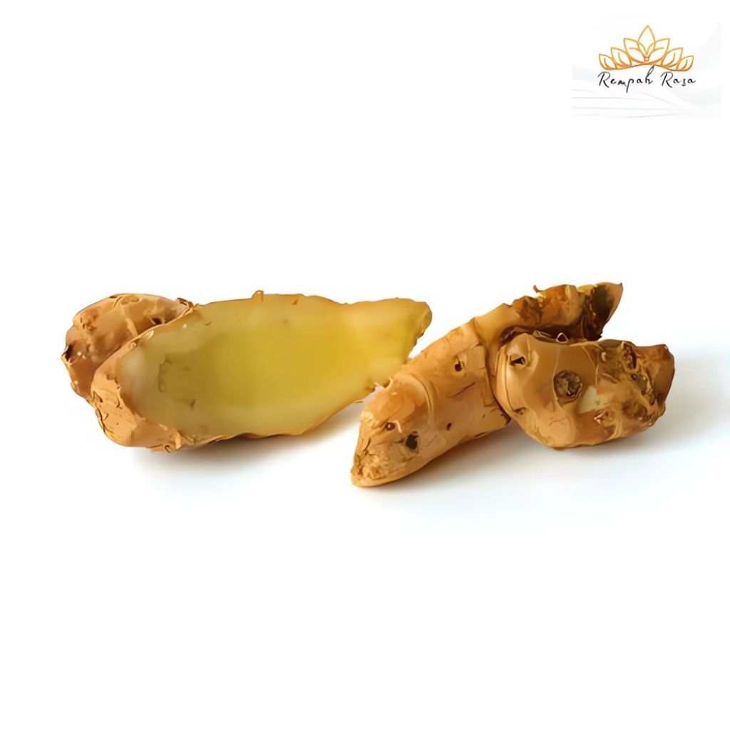 

Kencur / Kaempferia galanga