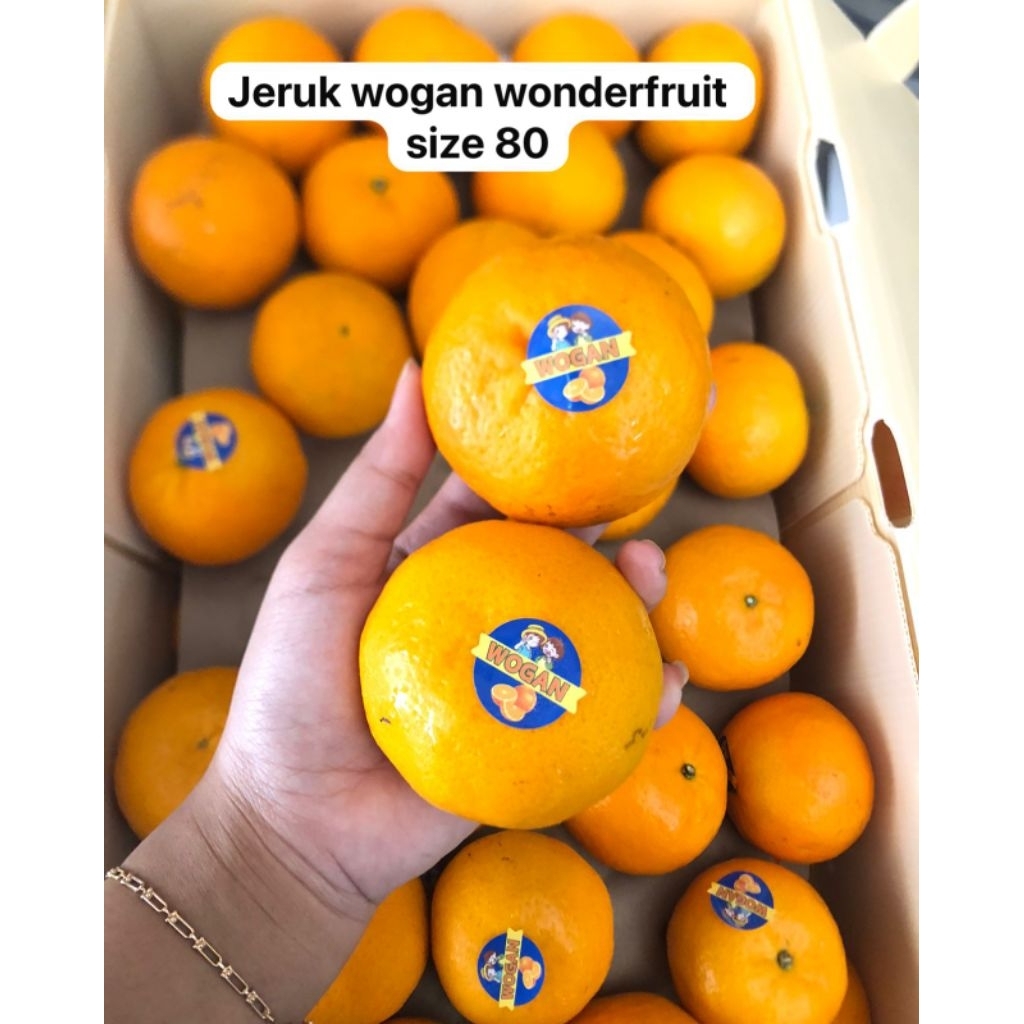 

jeruk wogan wonderfruit/ kg