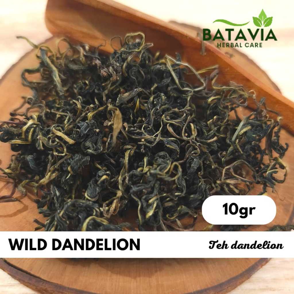 

Wild Dandelion Tea Dandelion Leaf Teh Daun Randa Tapak Premium