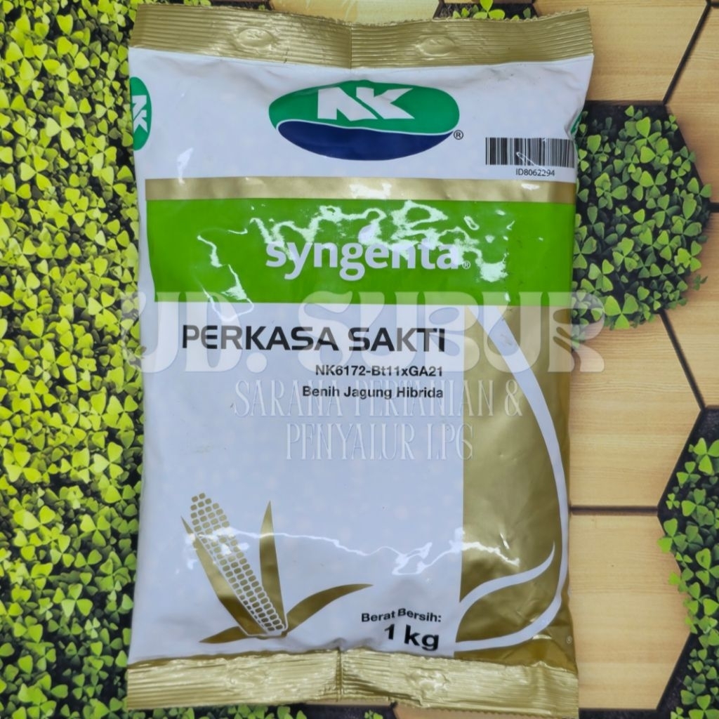Benih Jagung Hibrida NK PERKASA SAKTI NK6172-Bt11xGA21 (Berat bersih: 1Kg).