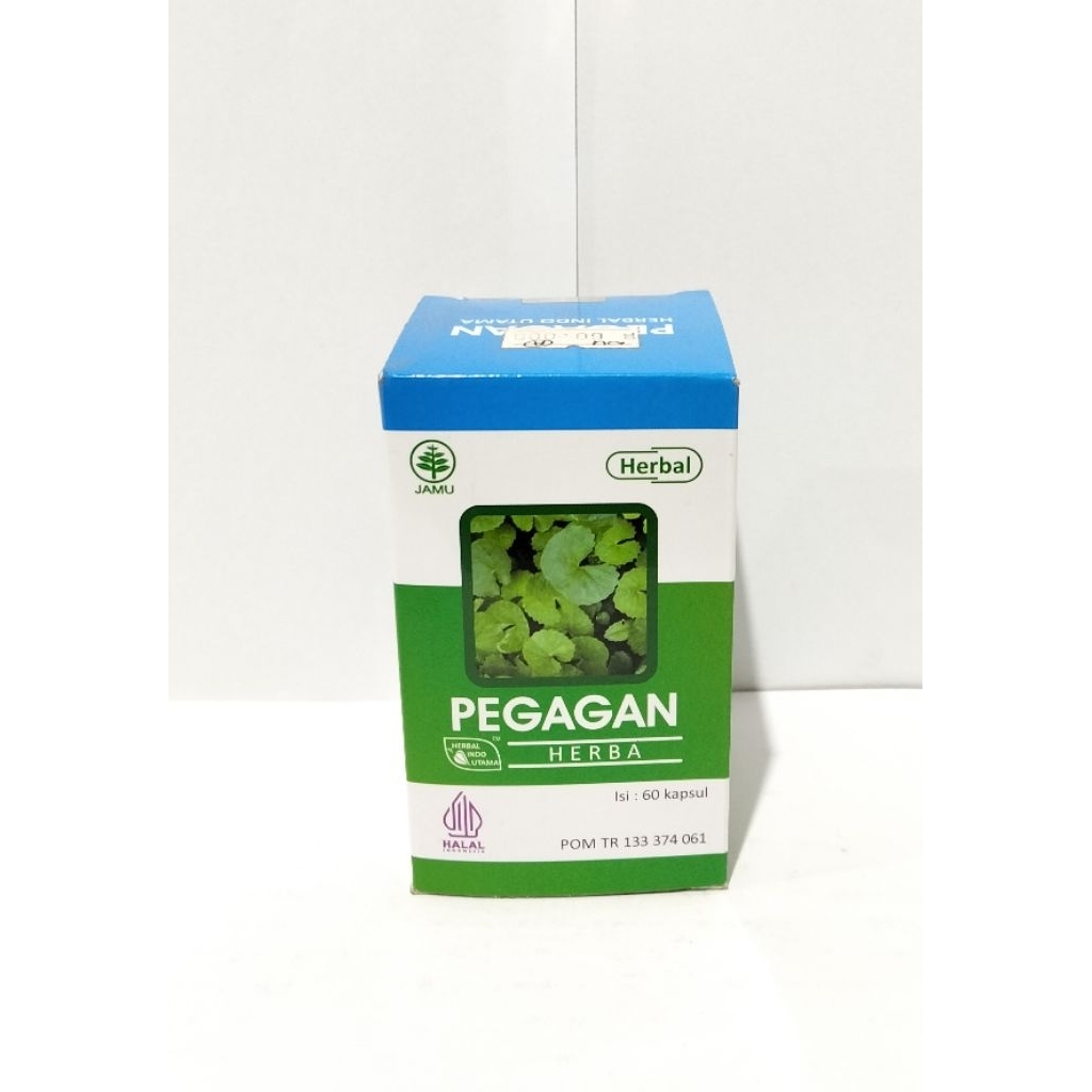 herbal pegagan 60kapsul