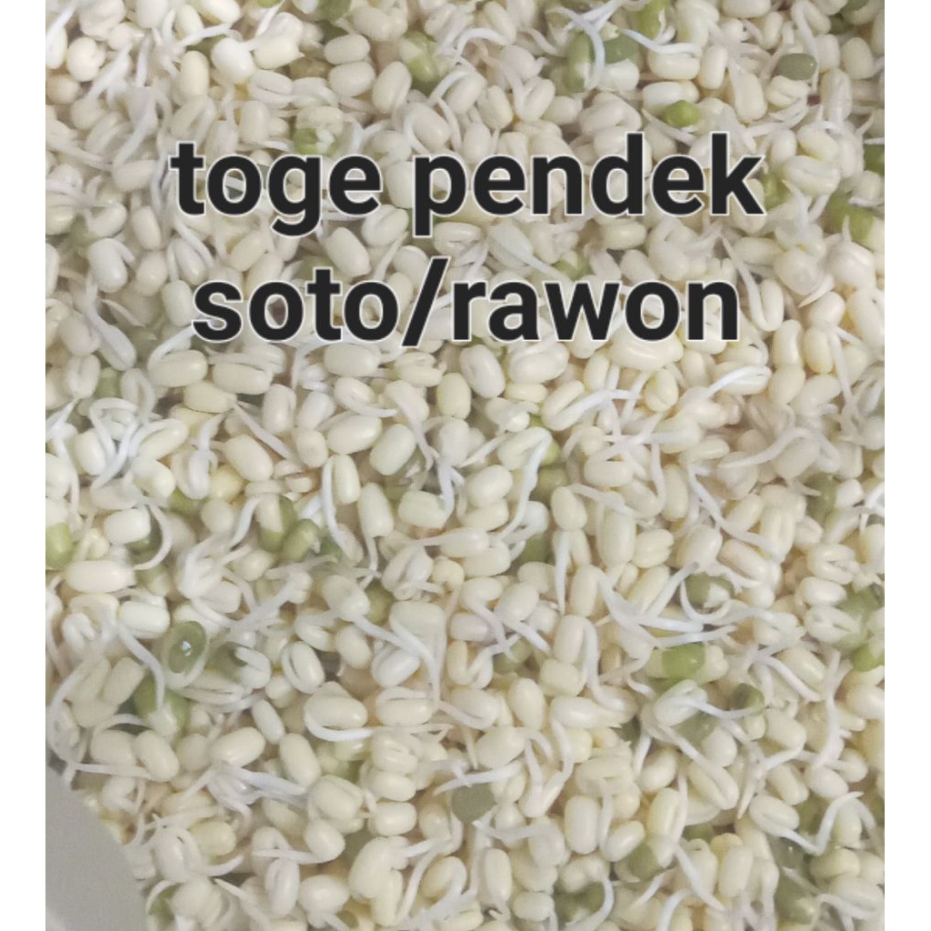 

toge pendek / toge rawon 250 gram
