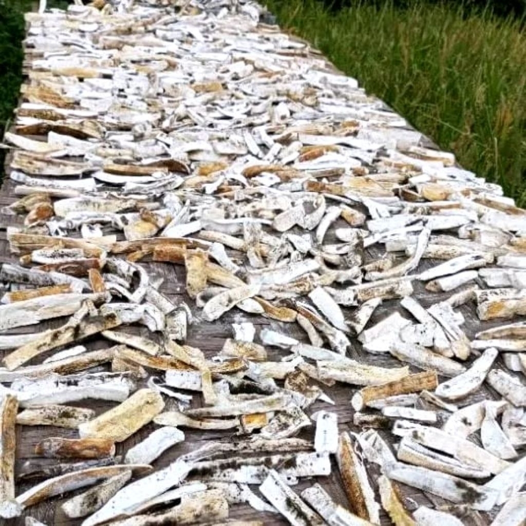 

Singkong Gatot Original 1 Kg