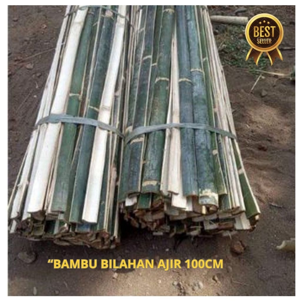 Jual Bilah Bambu 100cm-Ajir Bilahan Bambu