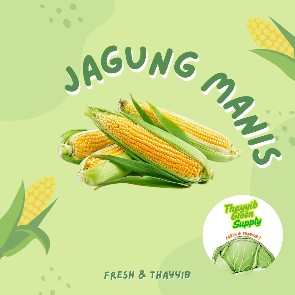 

JAGUNG MANIS SEGAR 1 PCS / JAGUNG MANIS FRESH 1 BUAH