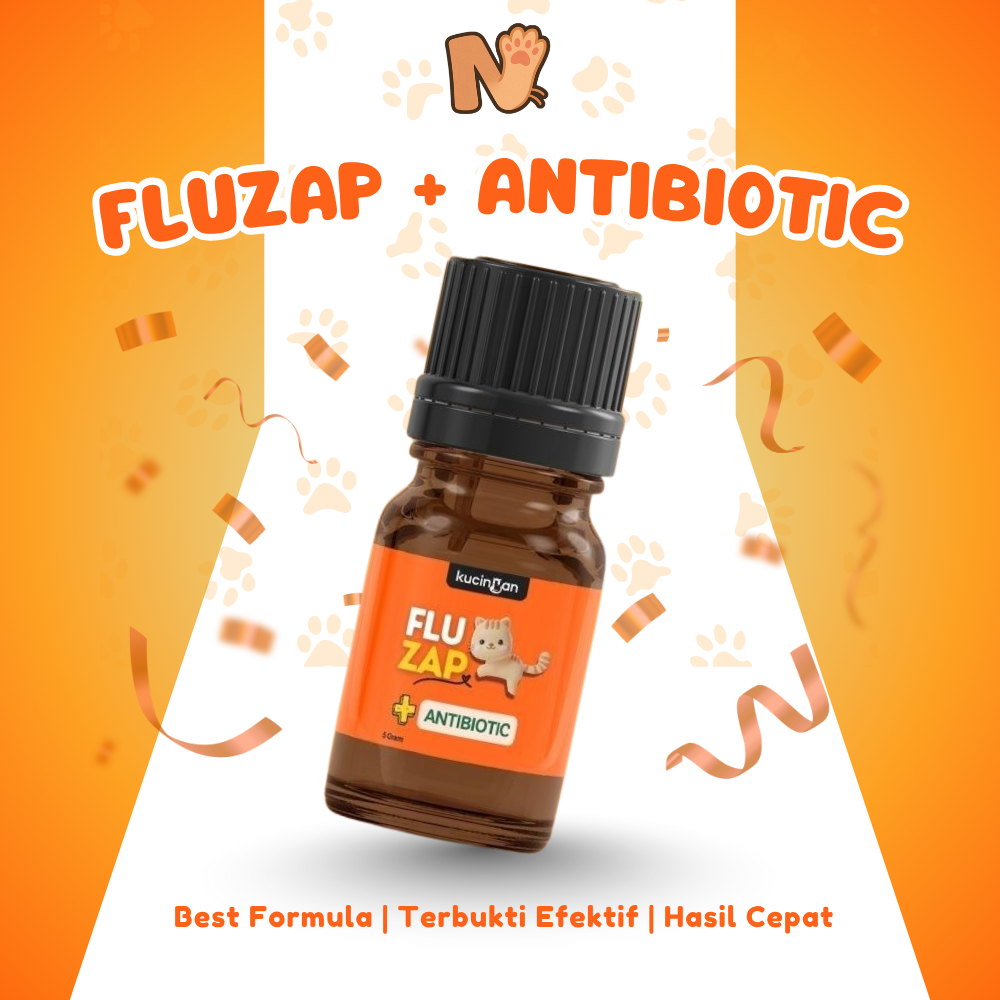 Kucingan Flu Zap Obat Flu Antibiotik Flu Menahun Batuk Pilek