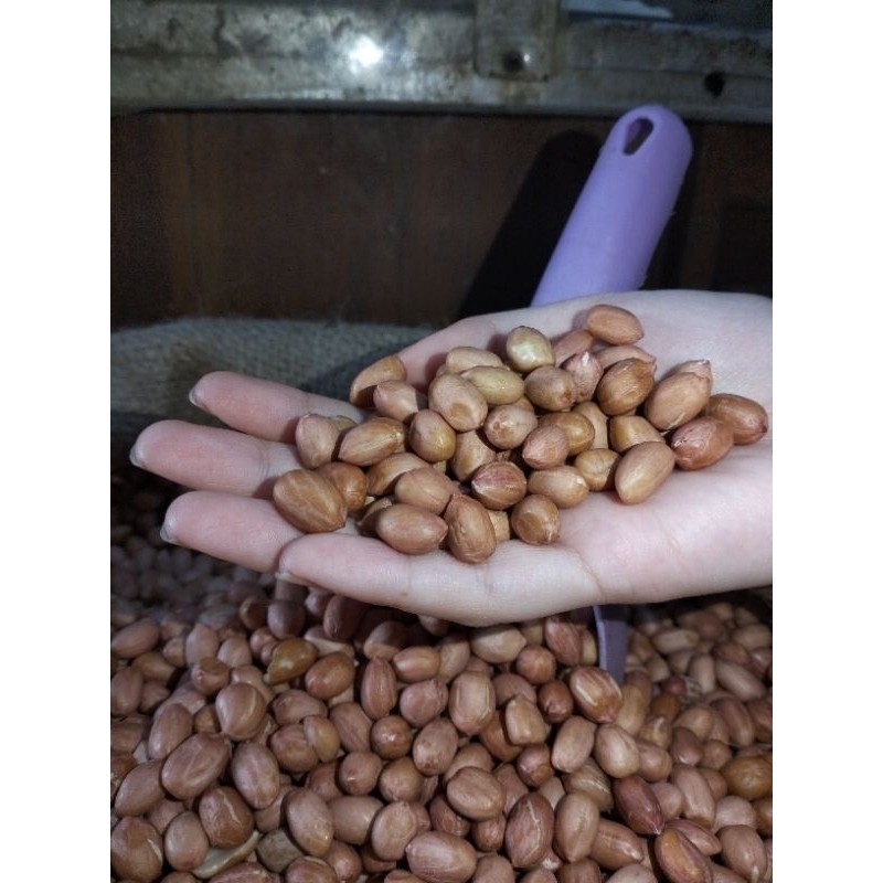

Kacang Tanah Super 1Kg