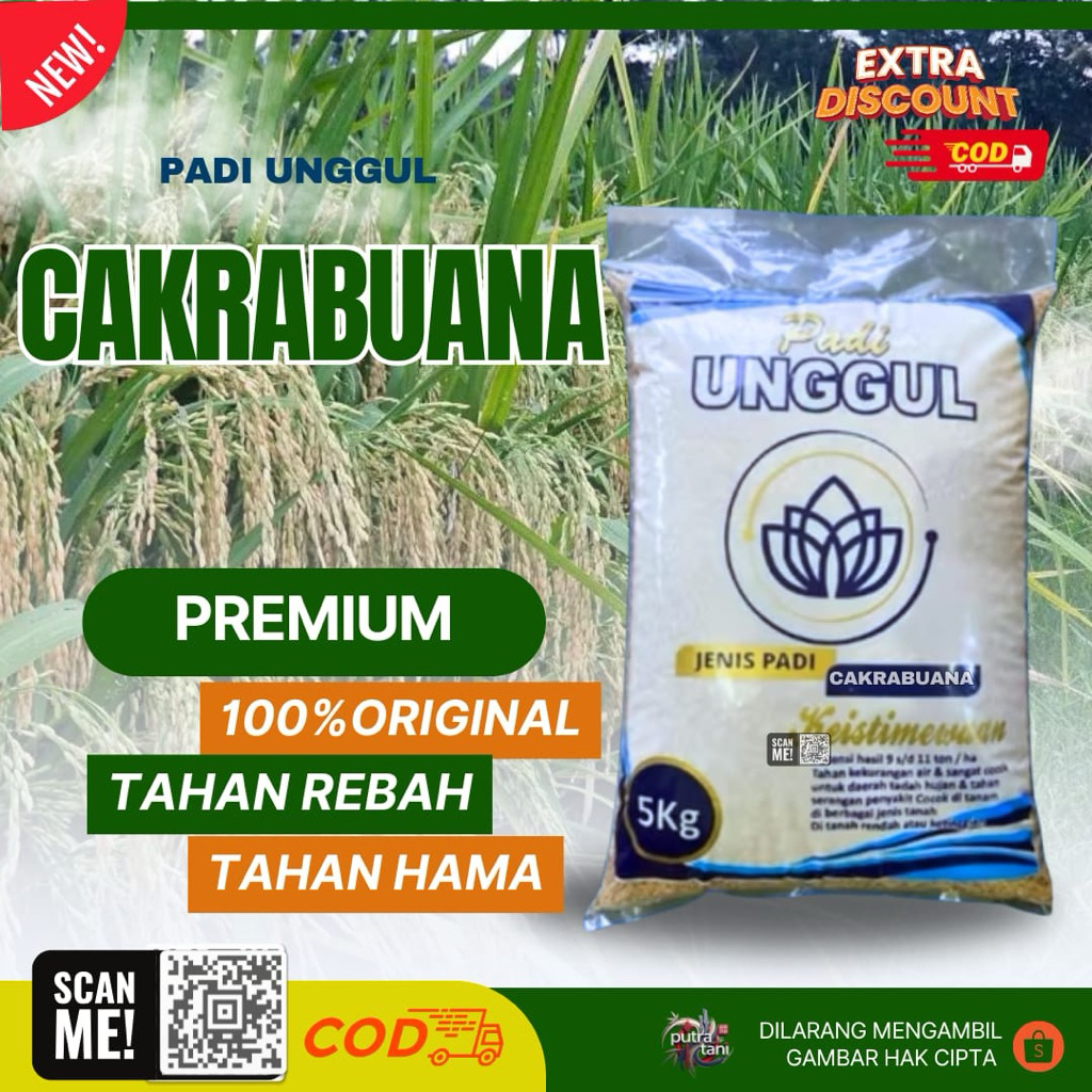 PADI UNGGUL CAKRABUANA 04 KEMASAN 5KG