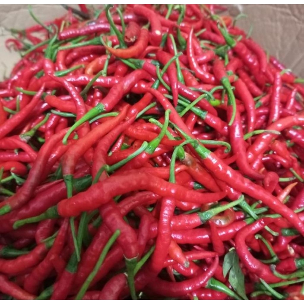 

cabe / cabai merah keriting 1kg dan 500gr