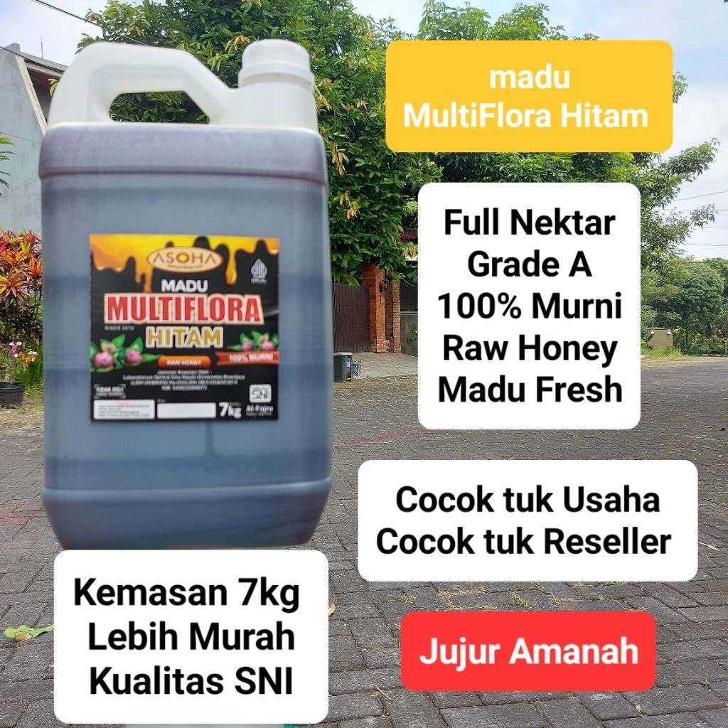 

ASOHA Madu MultiFlora Hitam 7kg | 100% Grade A | FULL NEKTAR | Madu Asli | Madu Murni