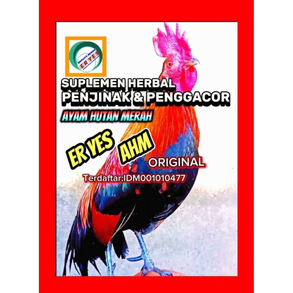 AYAM HUTAN SUPLEMEN PENJINAK & PENGGACOR ER YES AHM AYAM HUTAN MERAH Terdaftar:IDM001010477