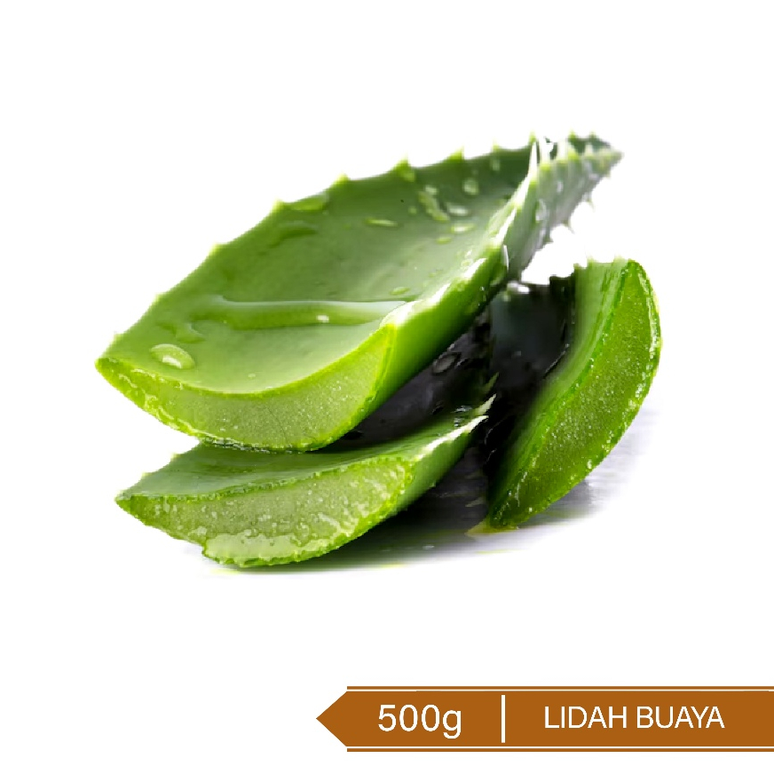 

Lidah Buaya / Aloe Vera 500g