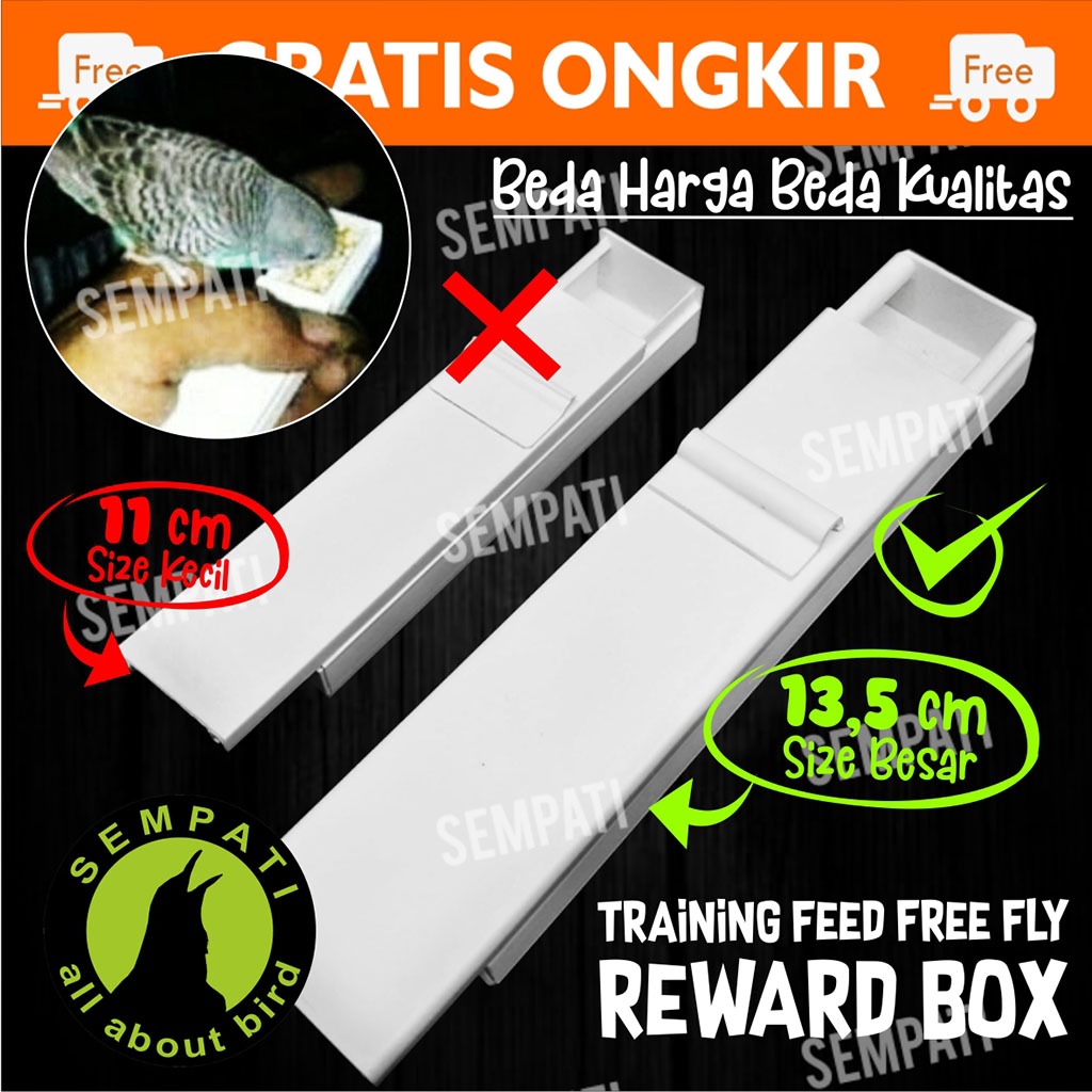 SEMPATI WADAH PAKAN BURUNG PARROT POINTER REWARD BOX UKURAN BESAR TEMPAT MAKAN NURI SUGAR GLIDER
