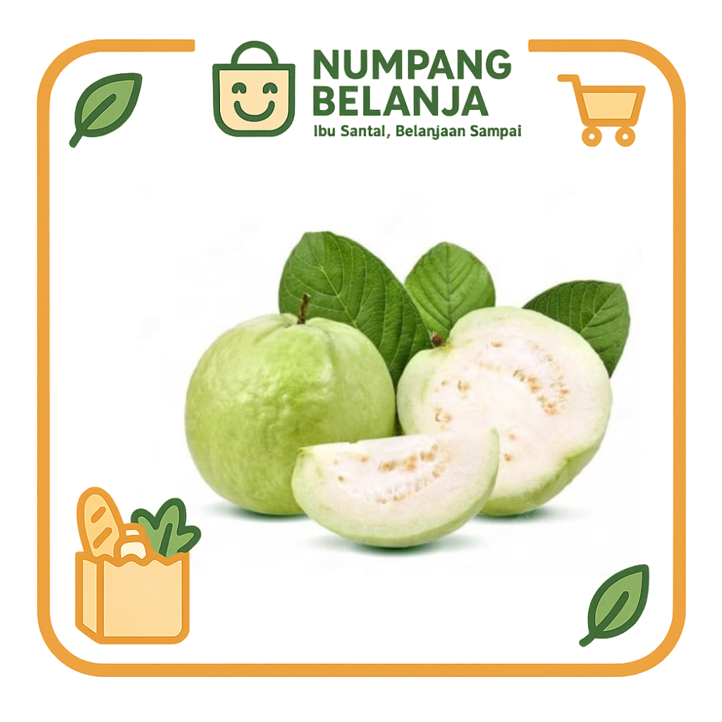 

jambu biji buah fresh [500g]