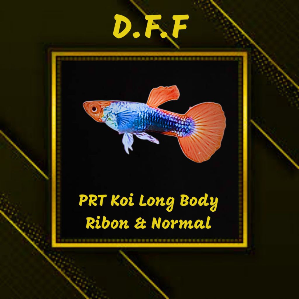 

BOX STEROFOAM-PRT K0I LB RB & NORMAL