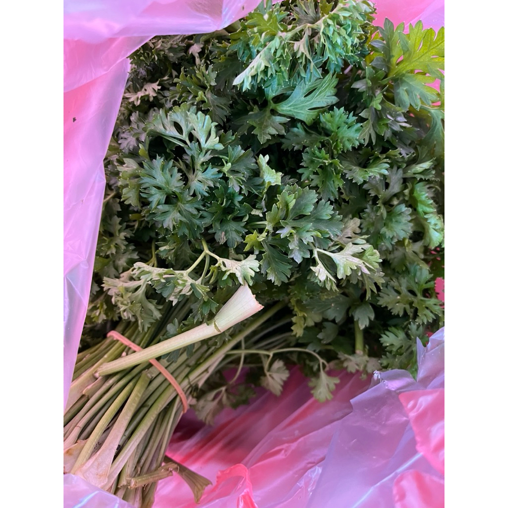 

Daun parsley daun peterseli 500gr MURAH