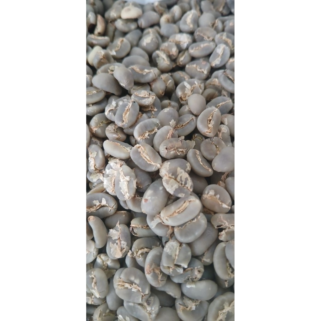 

kopi gayo asli tangan petani