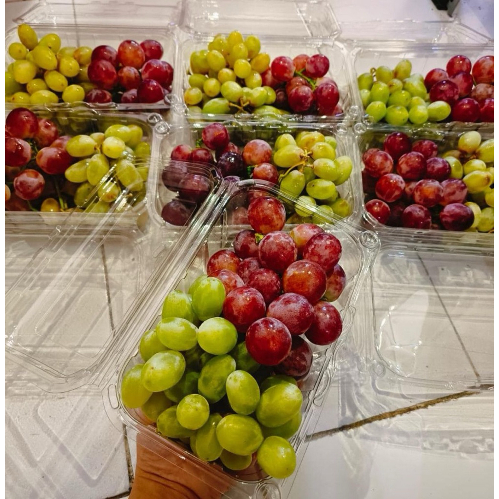 

Anggur calmeria dan merah