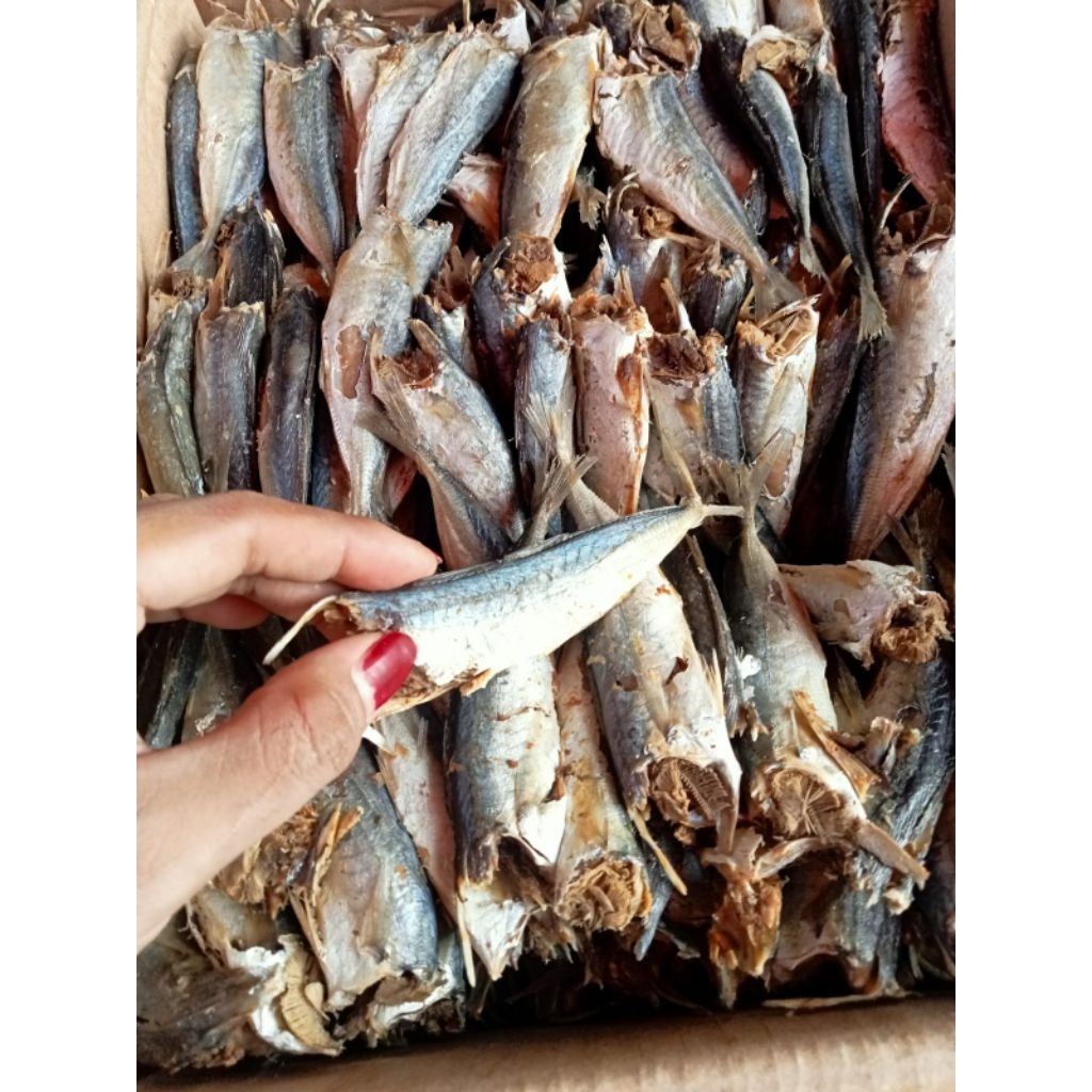 

IKAN ASIN LAYANG / ikan asin sarden rebus tanpa kepala ♛