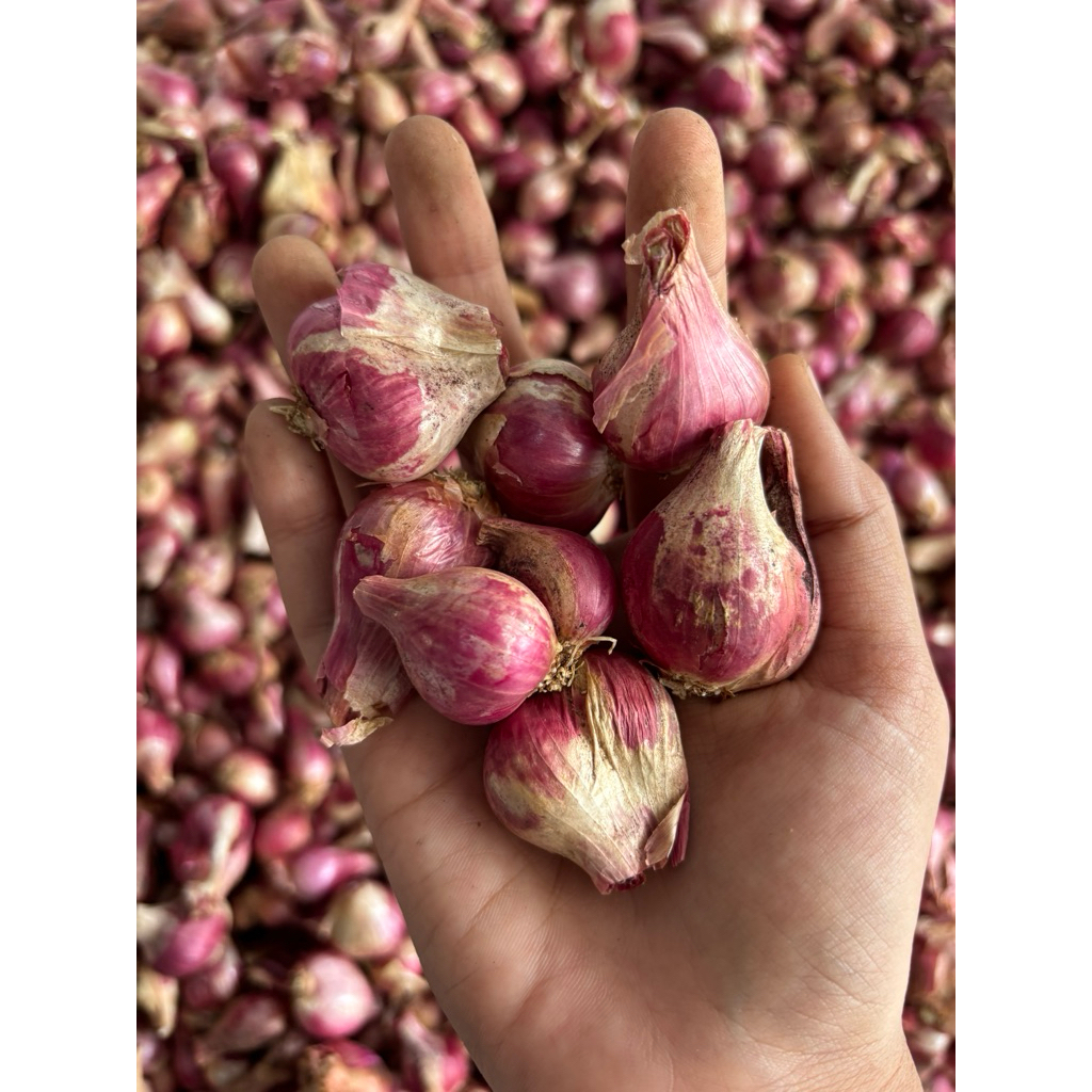 

BAWANG MERAH 250gram