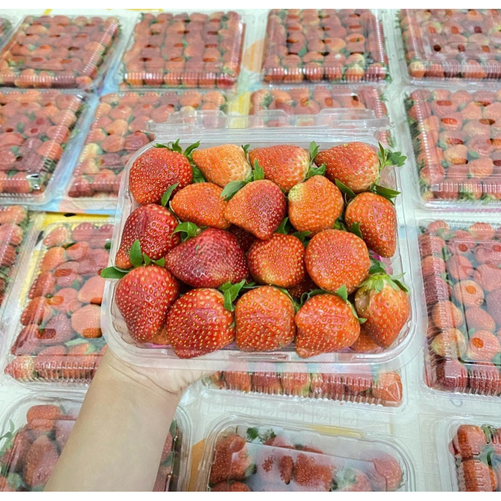 

strawberry fresh/manis/asam