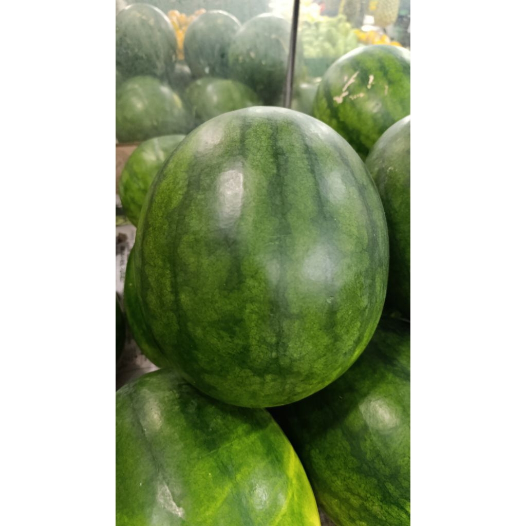 

kirim instan Semangka Merah Non Biji Manis