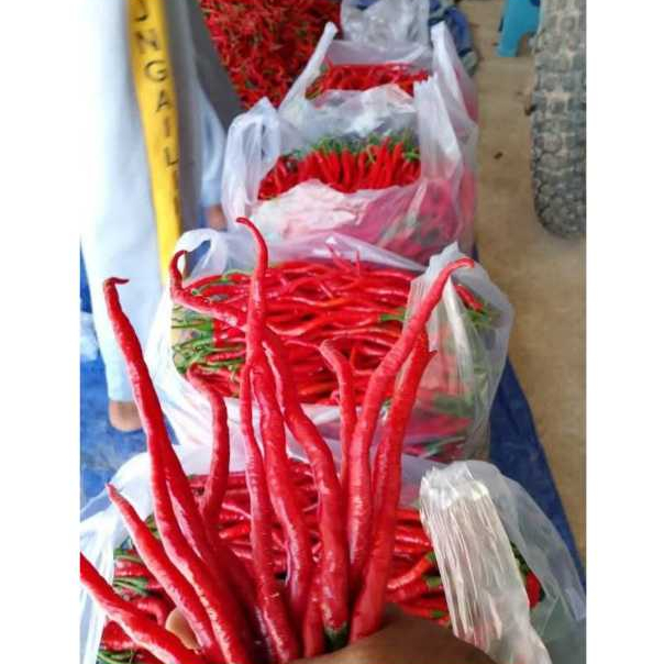

cabe merah keriting/CMK 1kg