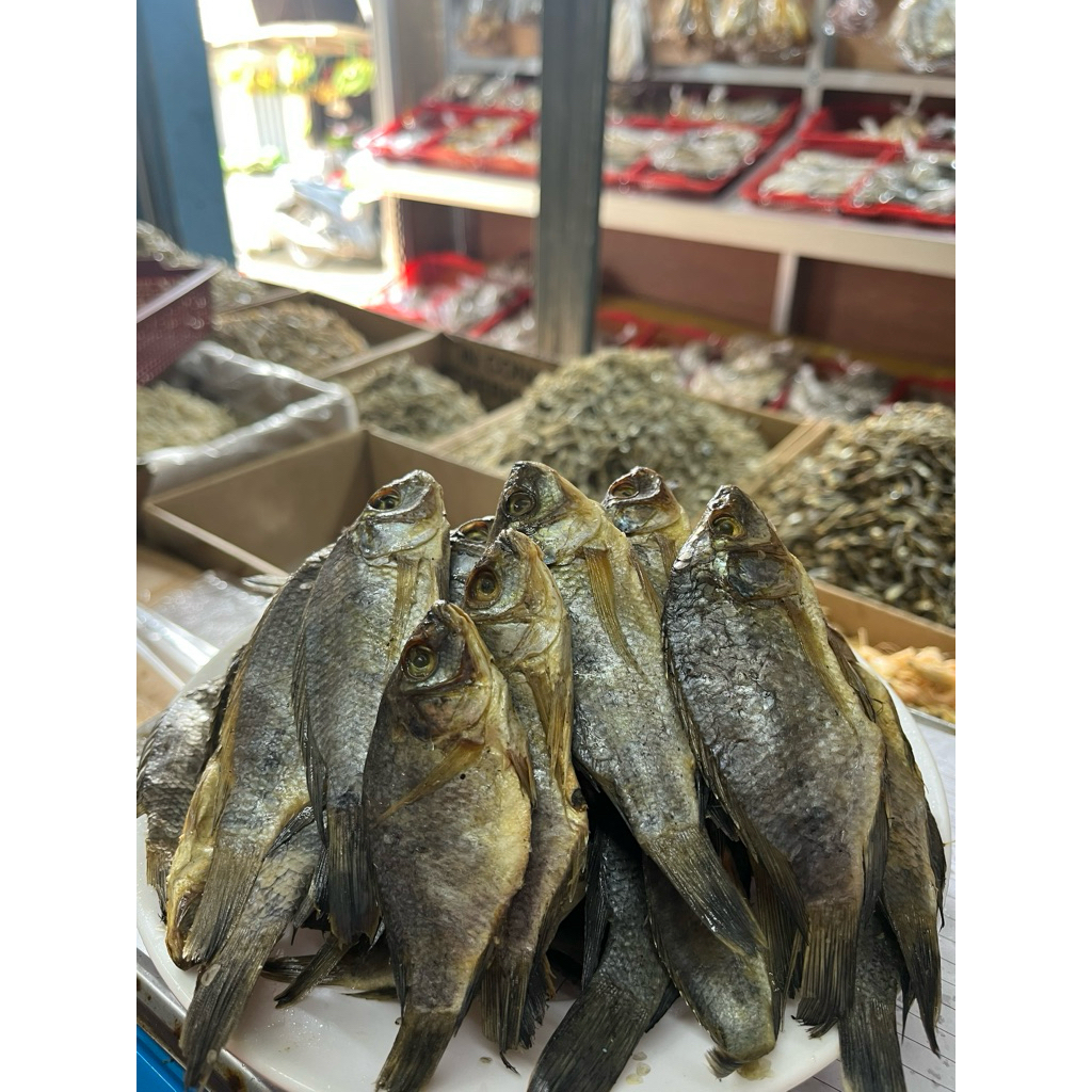 

Ikan asin jaer klontong/jaer cop/jaer pait super murah 250 gr