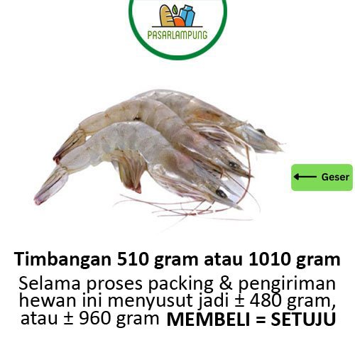 

Udang Segar Pasar Lampung