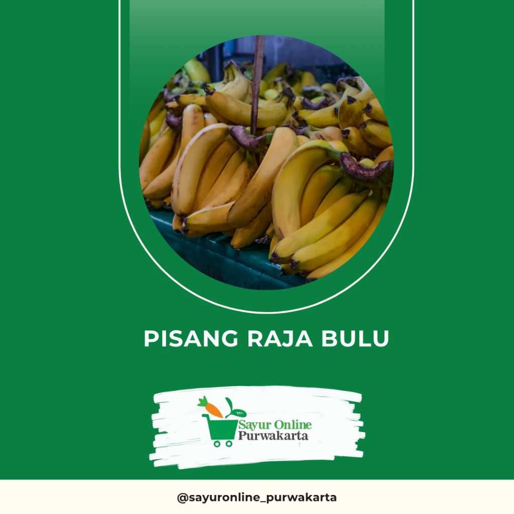 

Pisang Raja Bulu - Sayur Online Purwakarta