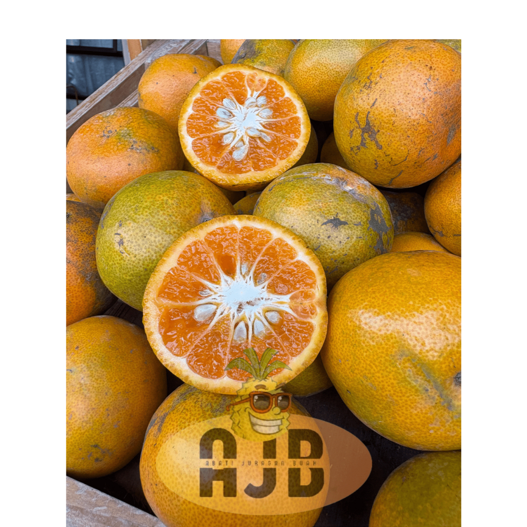 

Jeruk Medan Manis Asli Medan