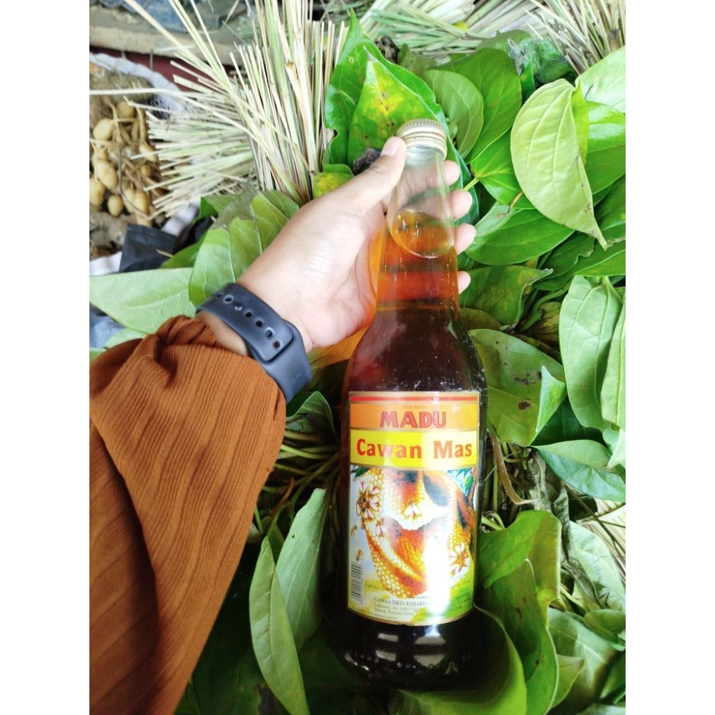 Madu Cawan Mas jumbo 600 ml ASLI exp lama free bublewrap + kardus