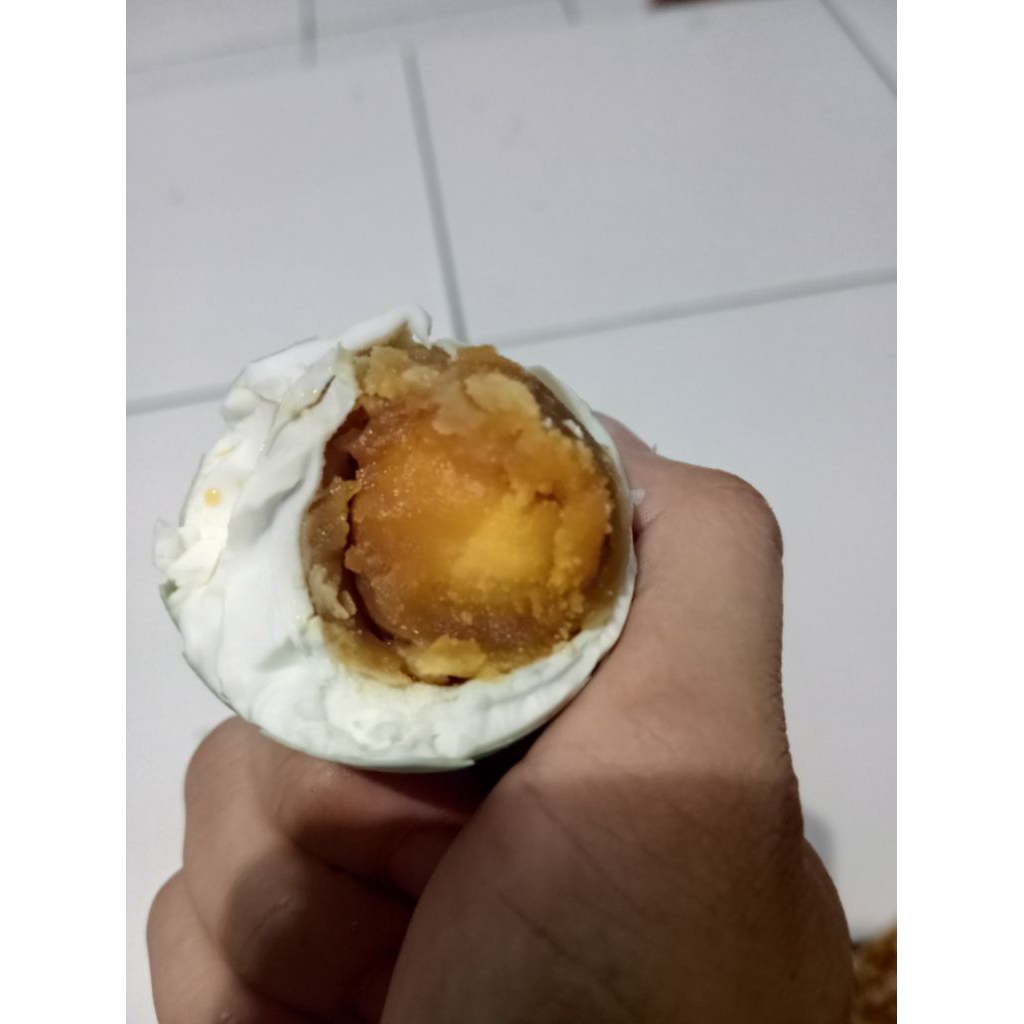 

TELUR ASIN MASIR ISI 10 BUTIR