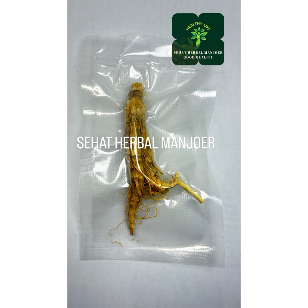 

TERMURAH ! AKAR GINSENG UTUH HARGA PER BATANG ASLI / SIZE GENDUT