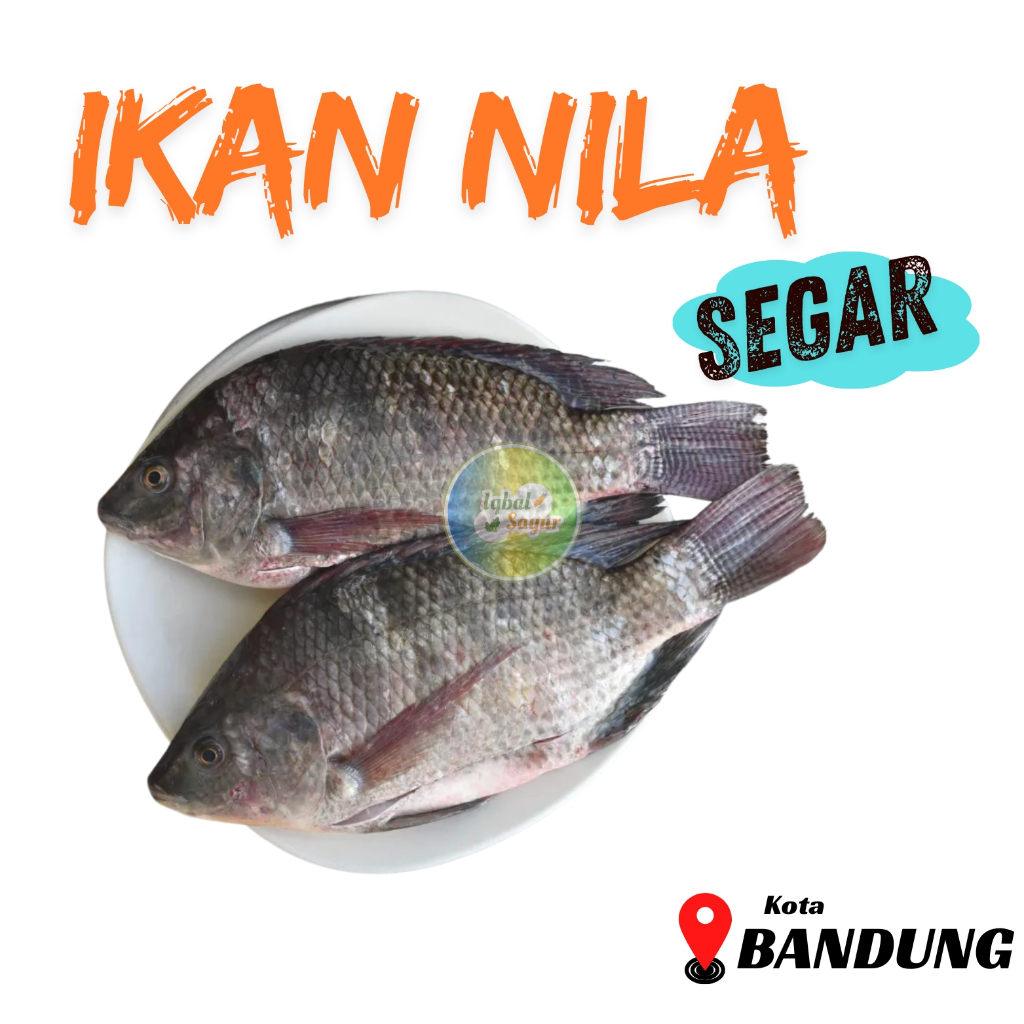 

Ikan Nila Beku 1 Kg || Order Malam Kirim Pagi