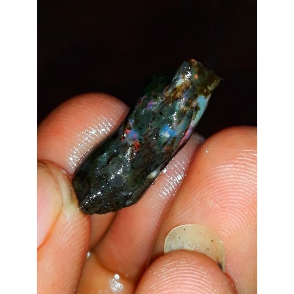 Batu Black Oval Jarong Asli Lebak Banten