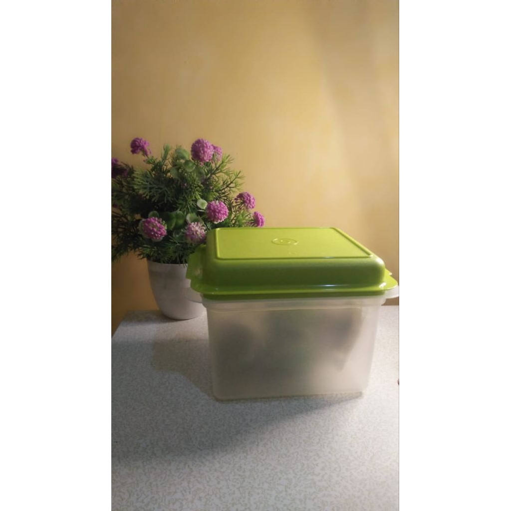 Tupperware Square Container – Tutup Hijau