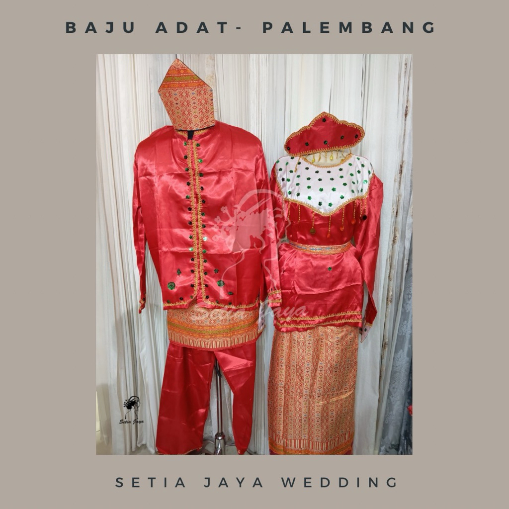 Palembang Dewasa Adat Tradisional Karnaval Pria Perempuan Pengantin