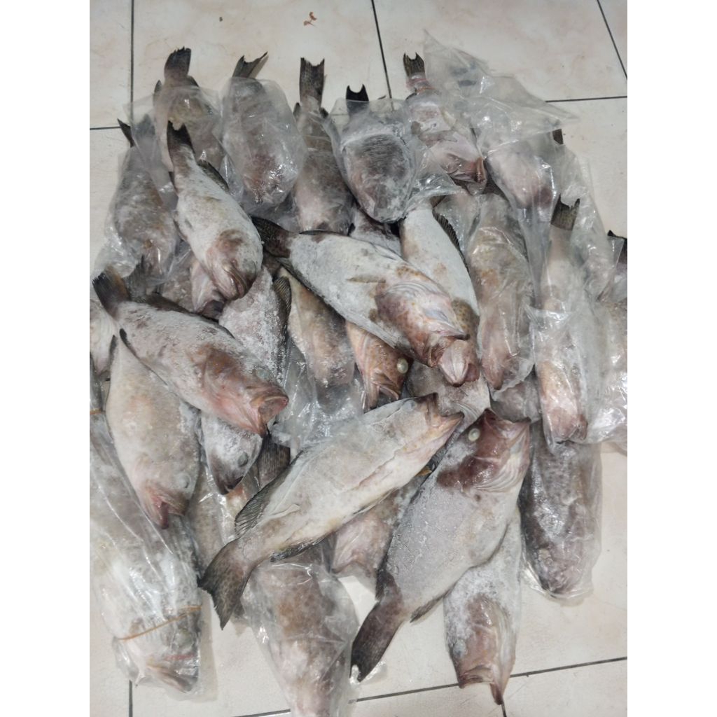 

Grapu Sapan 300-400ons