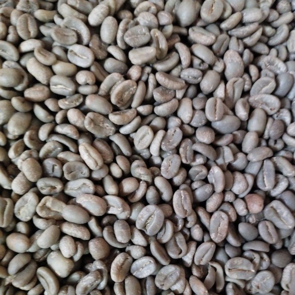 

green bean fullwash kopi arabika papandayan