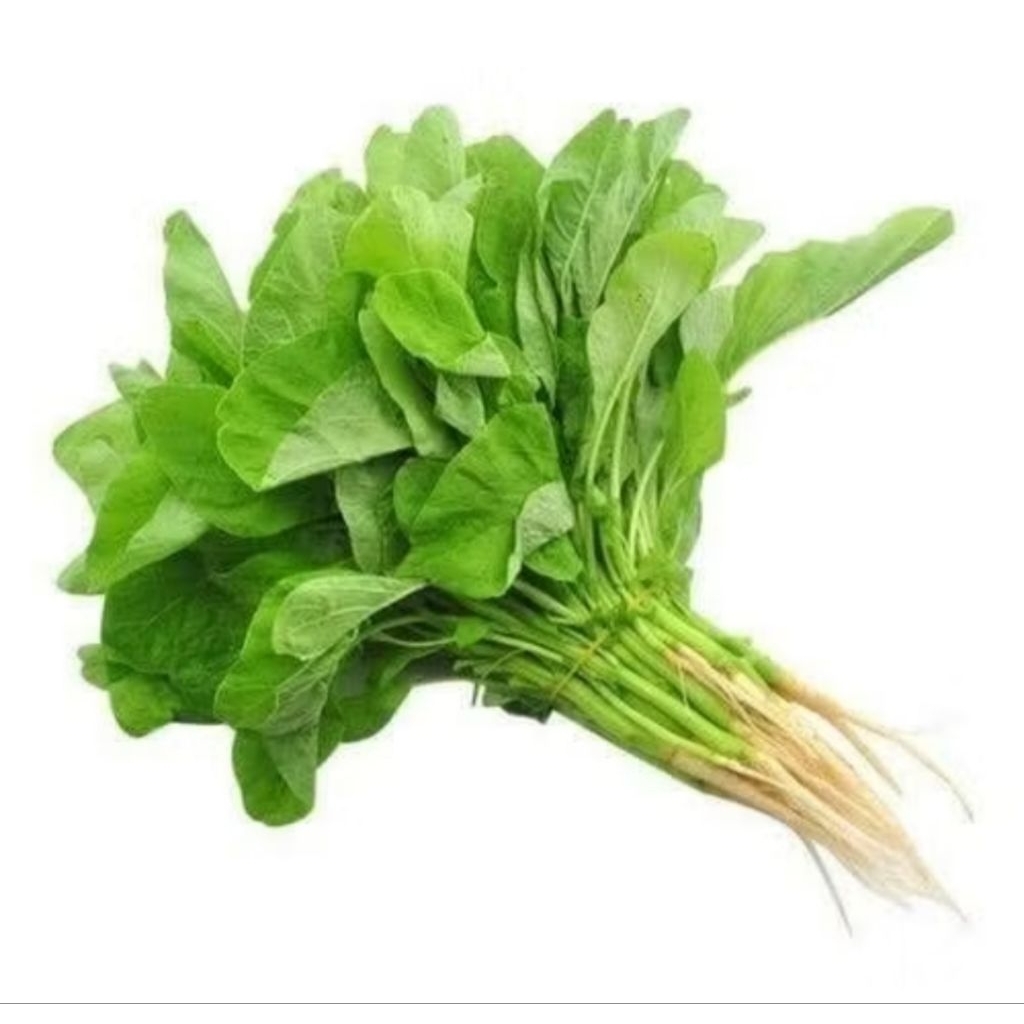 

bayam hijau / sayur bayam per ikat