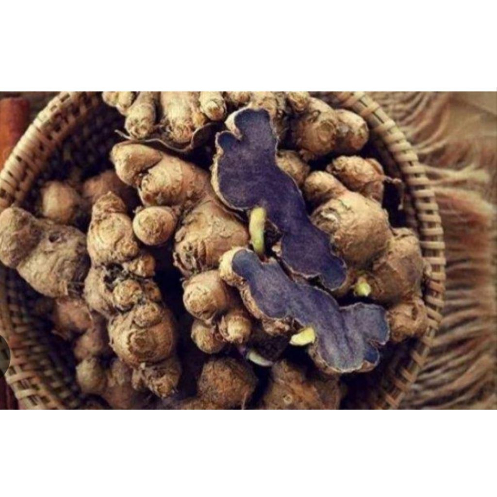 

asli kuyit hitam pres 1kg