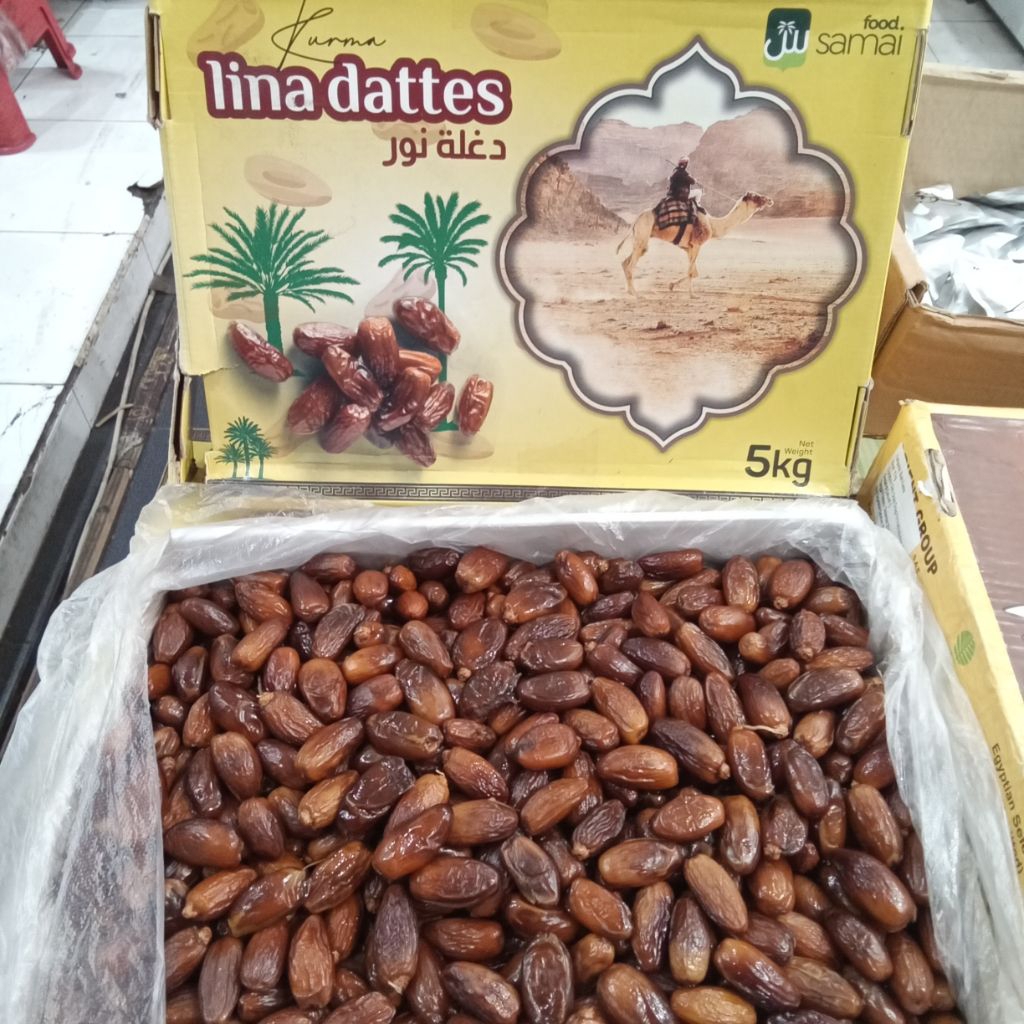 

kurma algeria madu 5kg lina dattes kurma curah kurma murah
