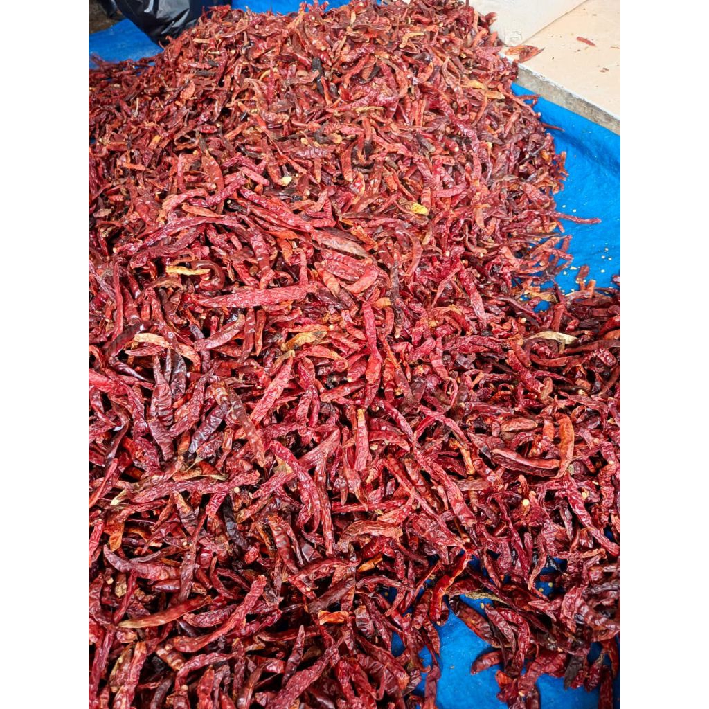 

cabe kering Teja extra pedas 1kg tanpa tangkai